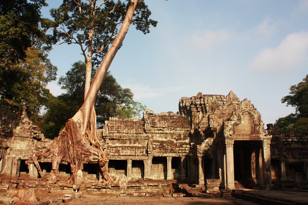 brown concrete ruins under white sky during daytime