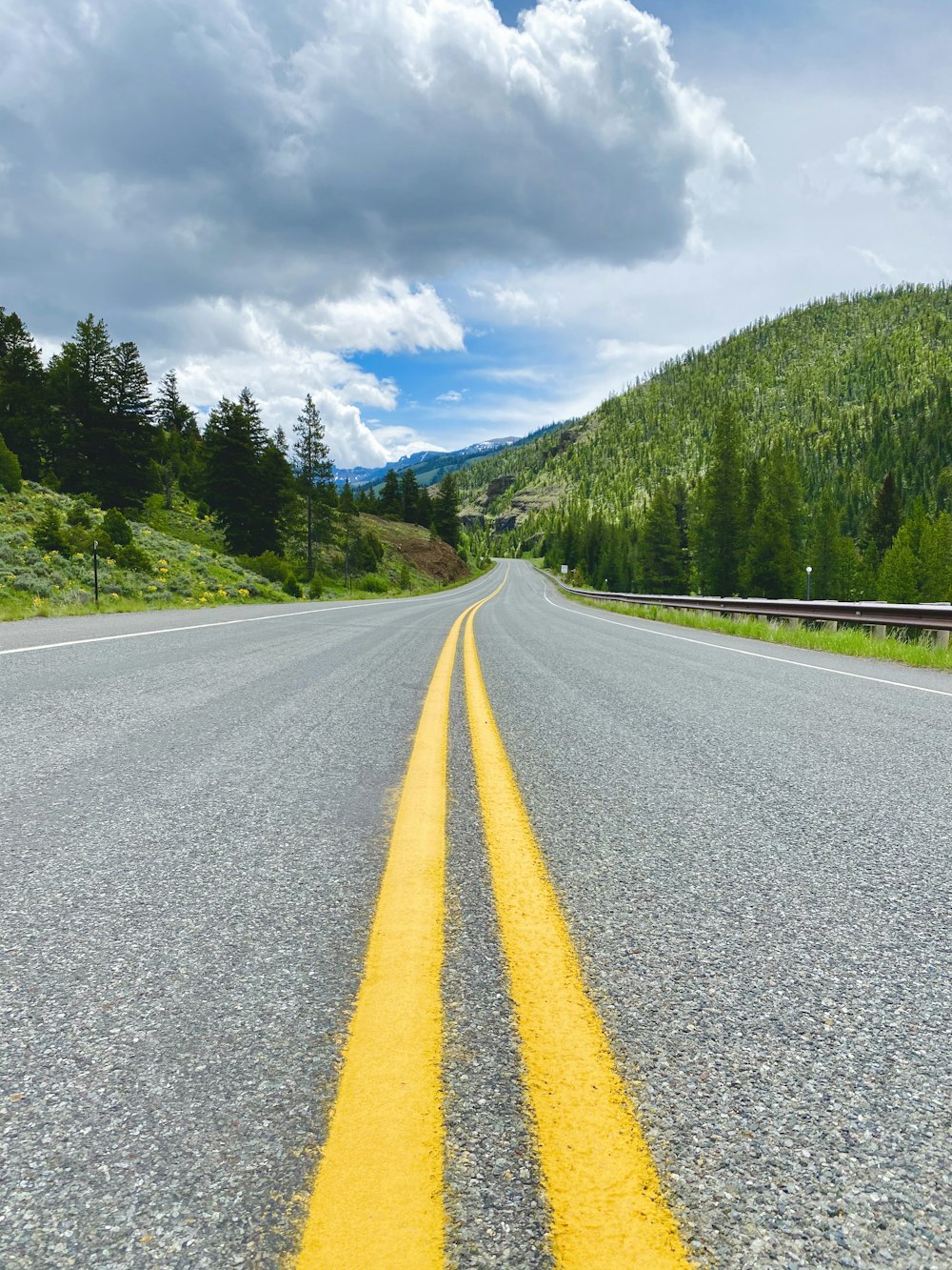 estrada de concreto cinza entre árvores verdes sob o céu azul e nuvens brancas durante o dia