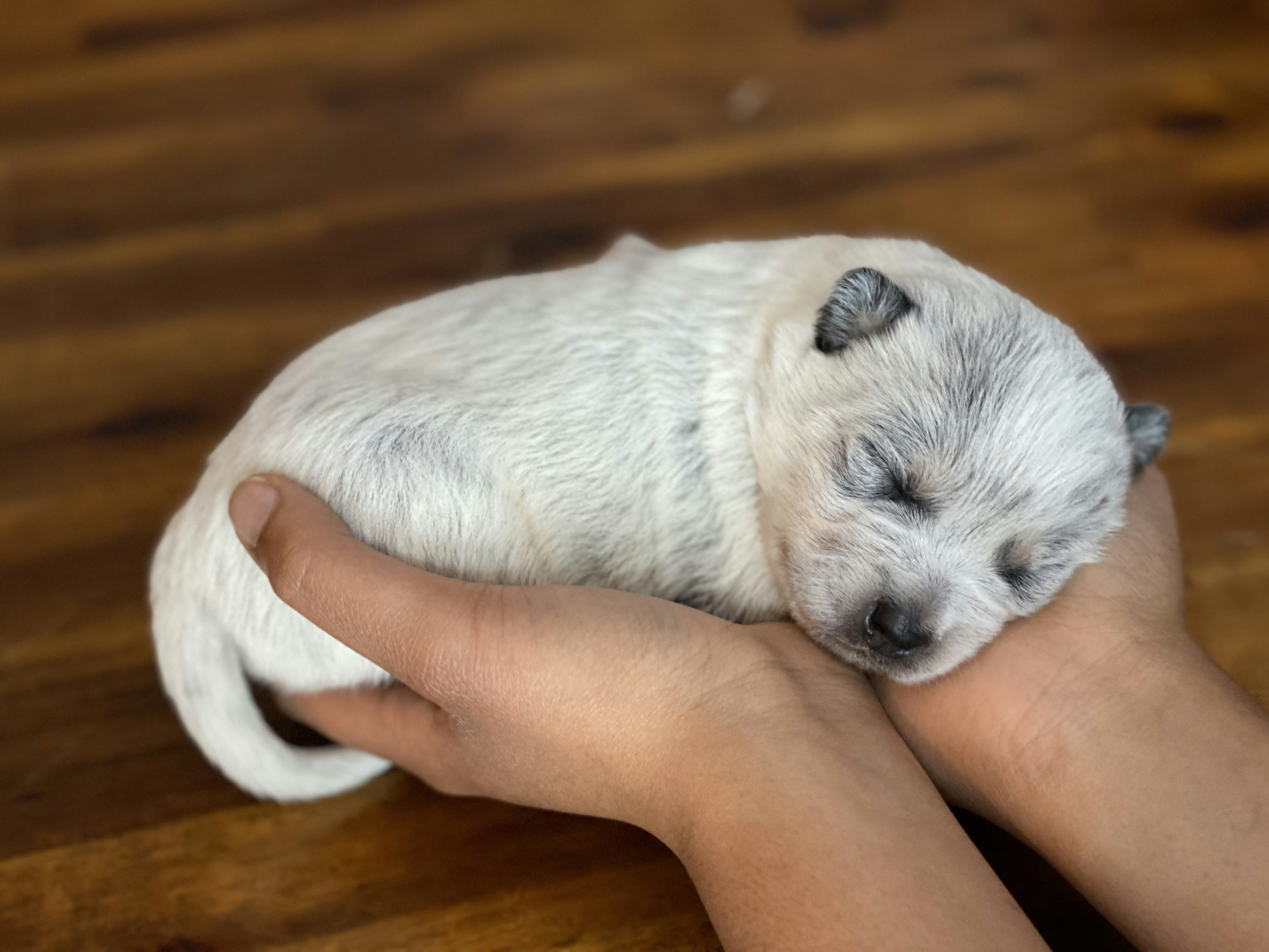 Photo by southern_wildflower