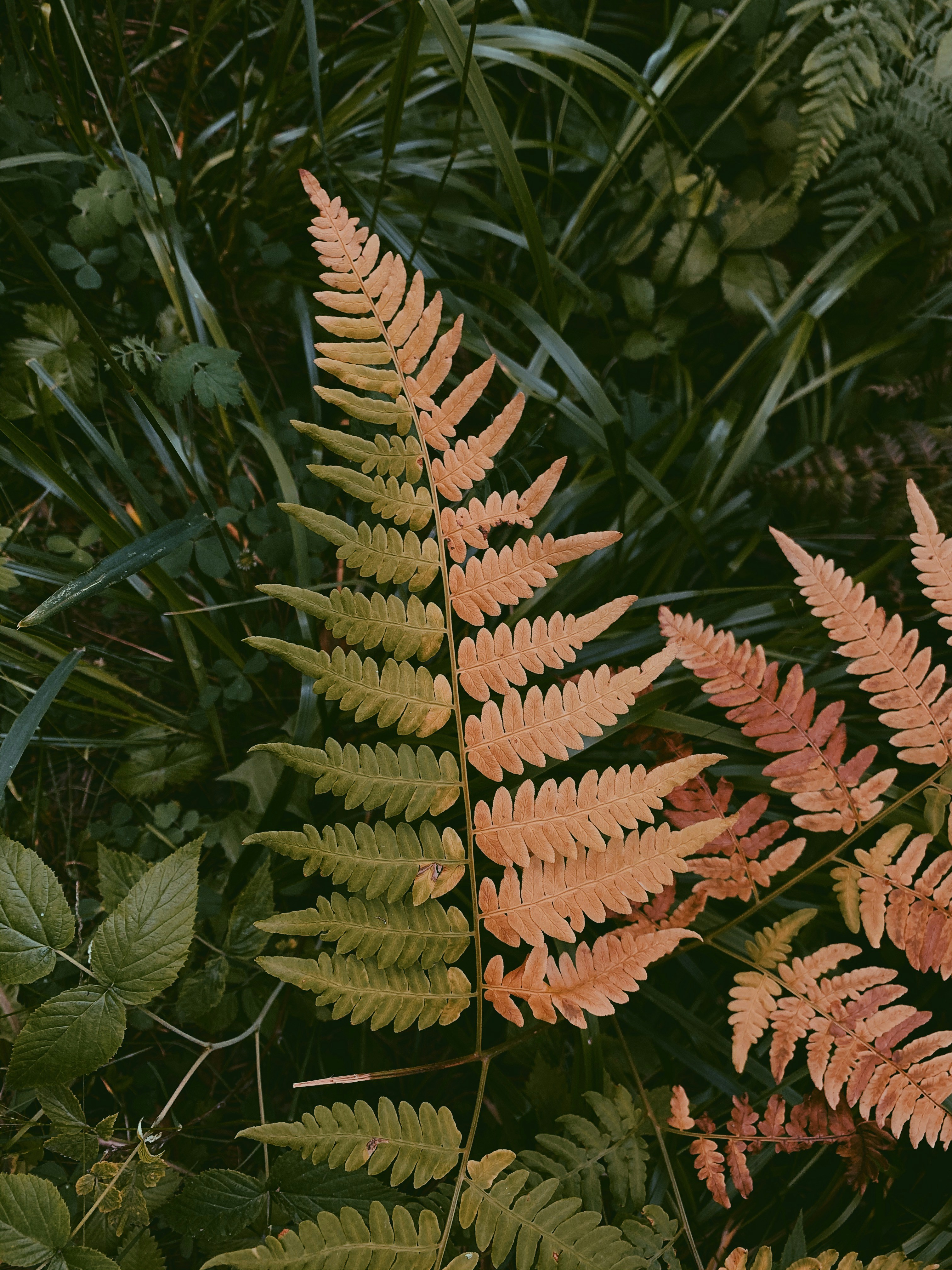 Photo by alex_akimenko