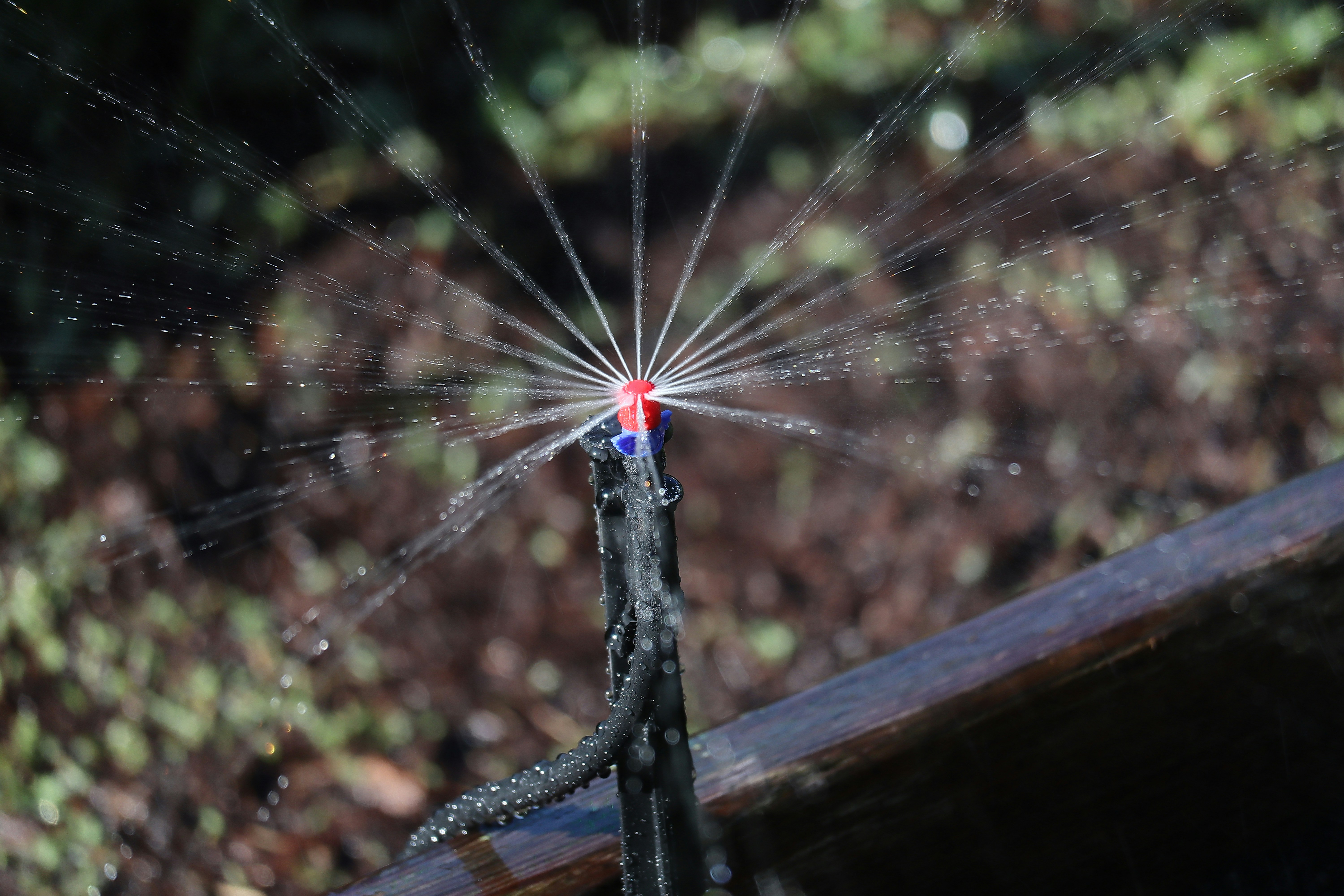 Making Room for Complete Systems