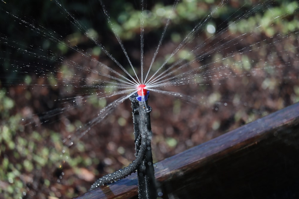 spider web on brown wooden fence during daytime