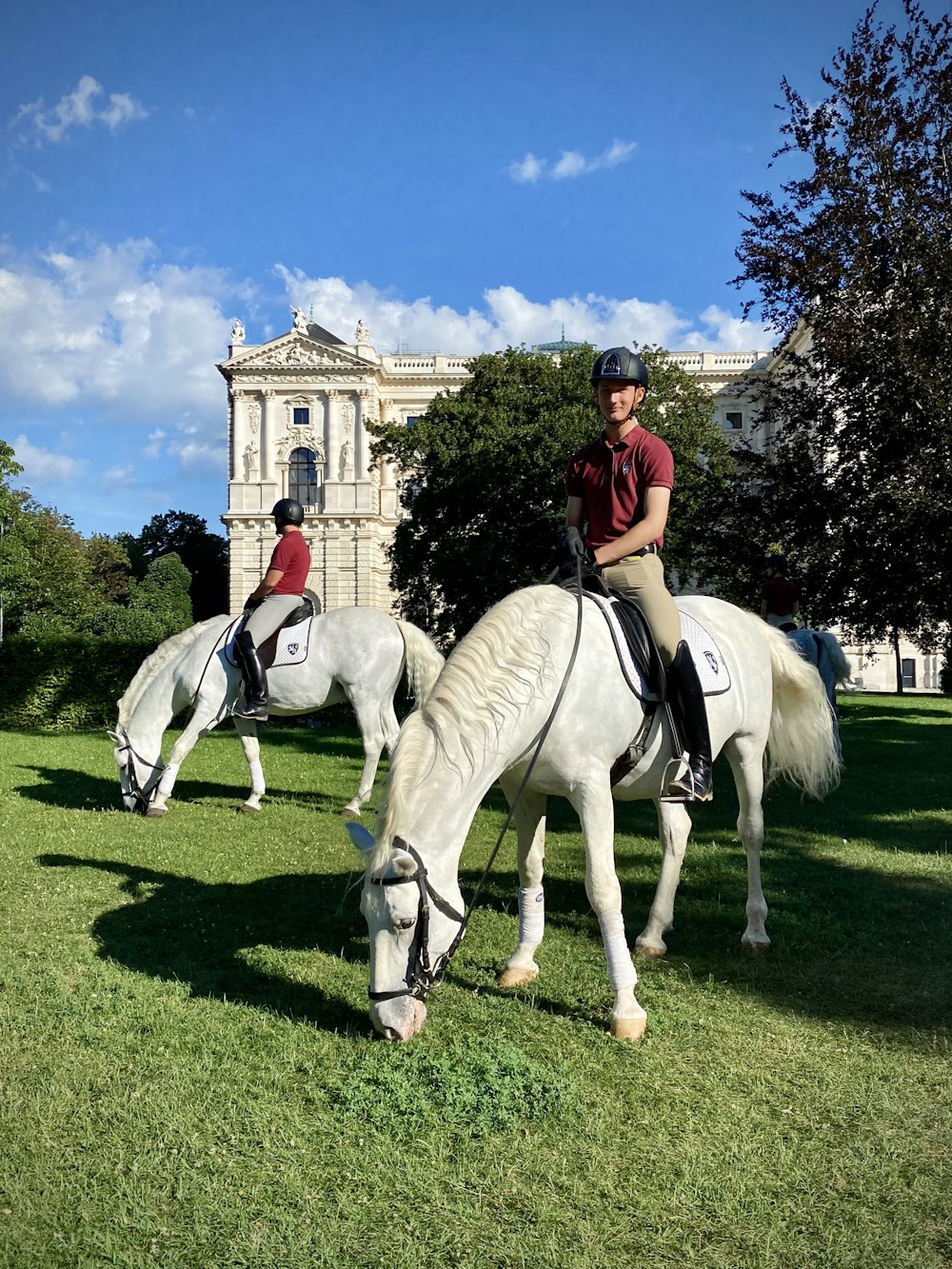 woman in red shirt riding white horse during daytime