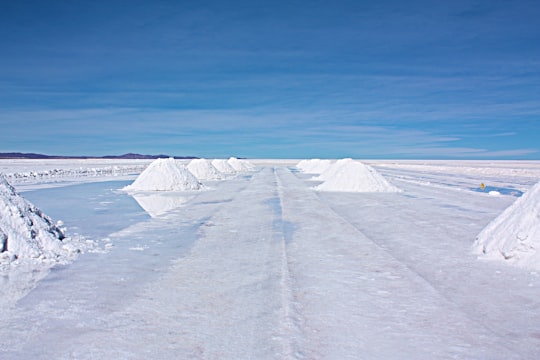 snow covered field under blue sky during daytime in Uyuni Bolivia