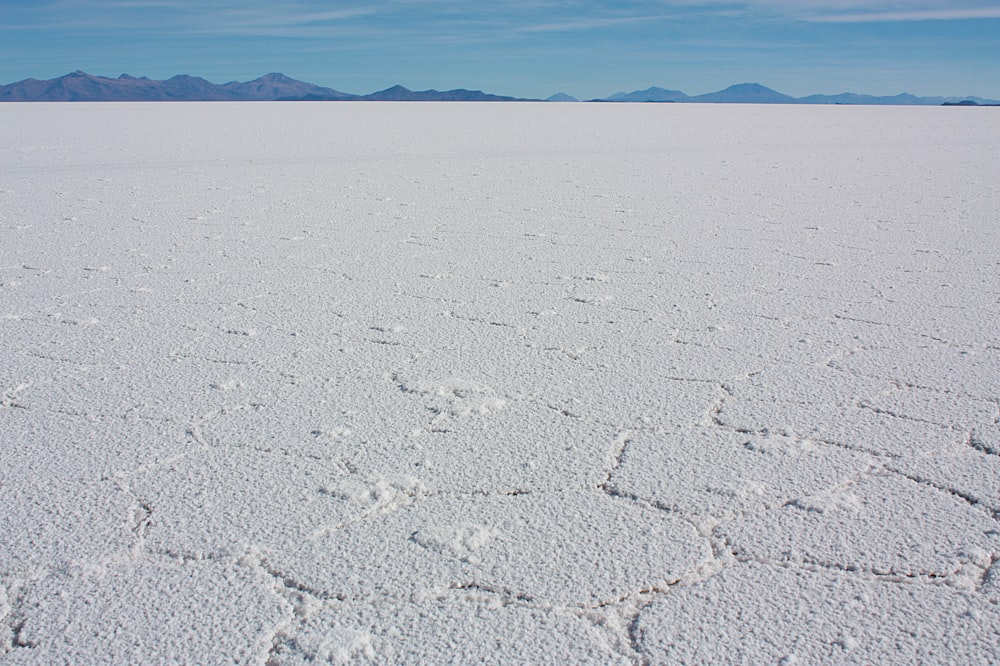 snow covered field during daytime