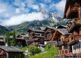 brown wooden houses near green trees and mountain under white clouds during daytime