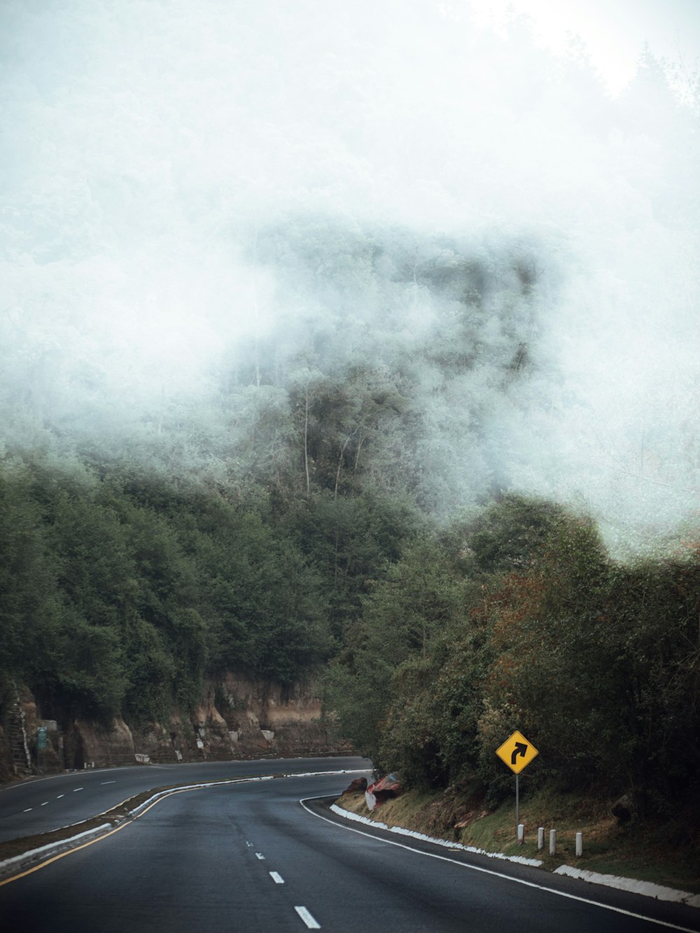 black car on road near green trees covered with fog during daytime