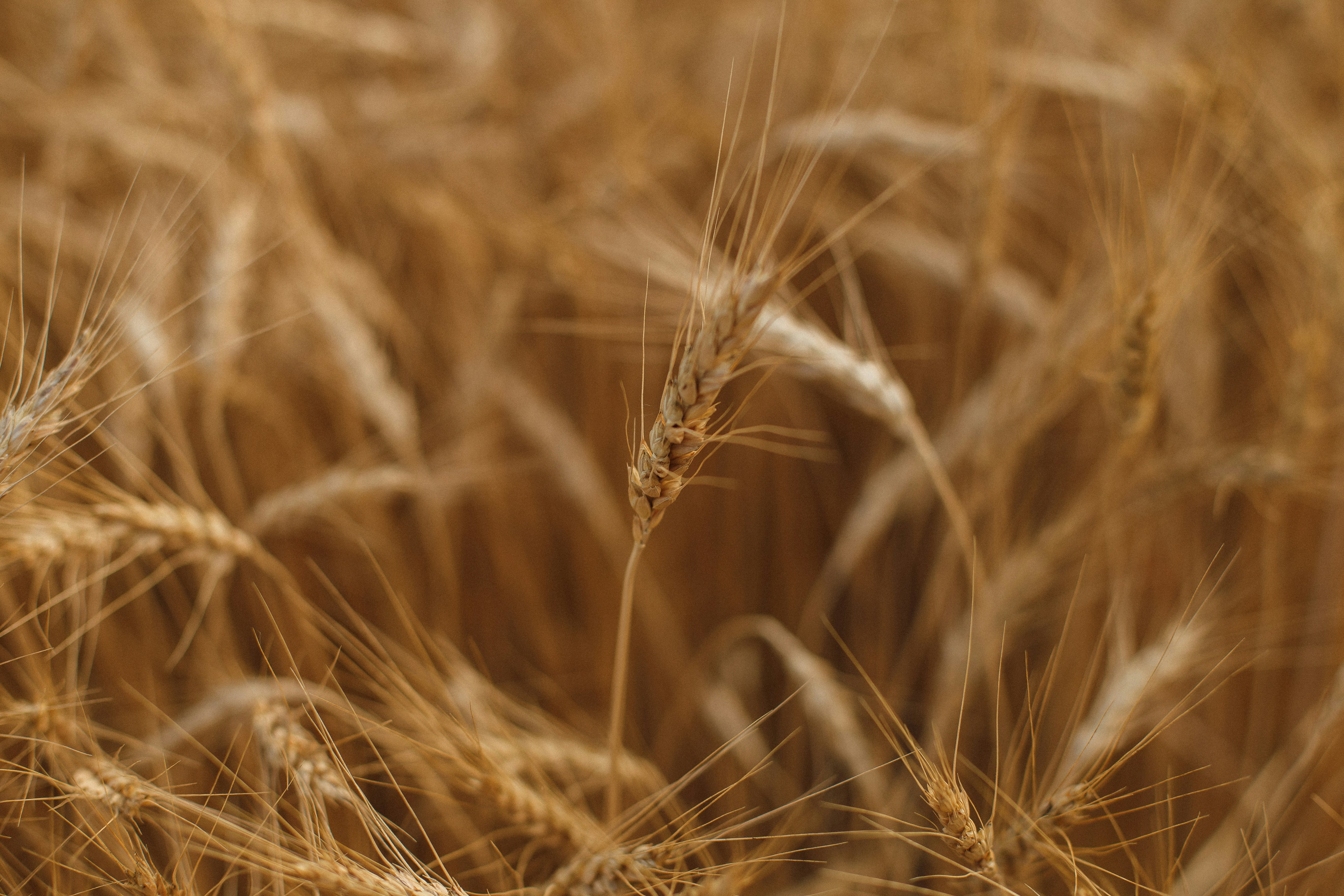 Photo by yulia_dubyna