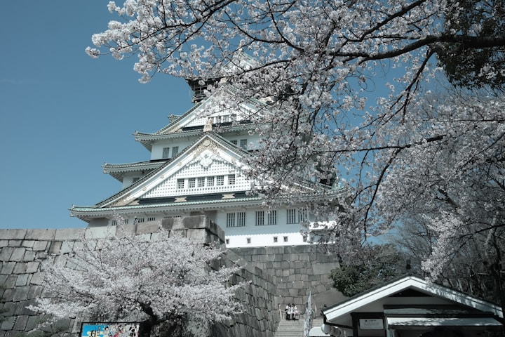 Best Cherry Blossoms in Japan: osaka castle park, osaka