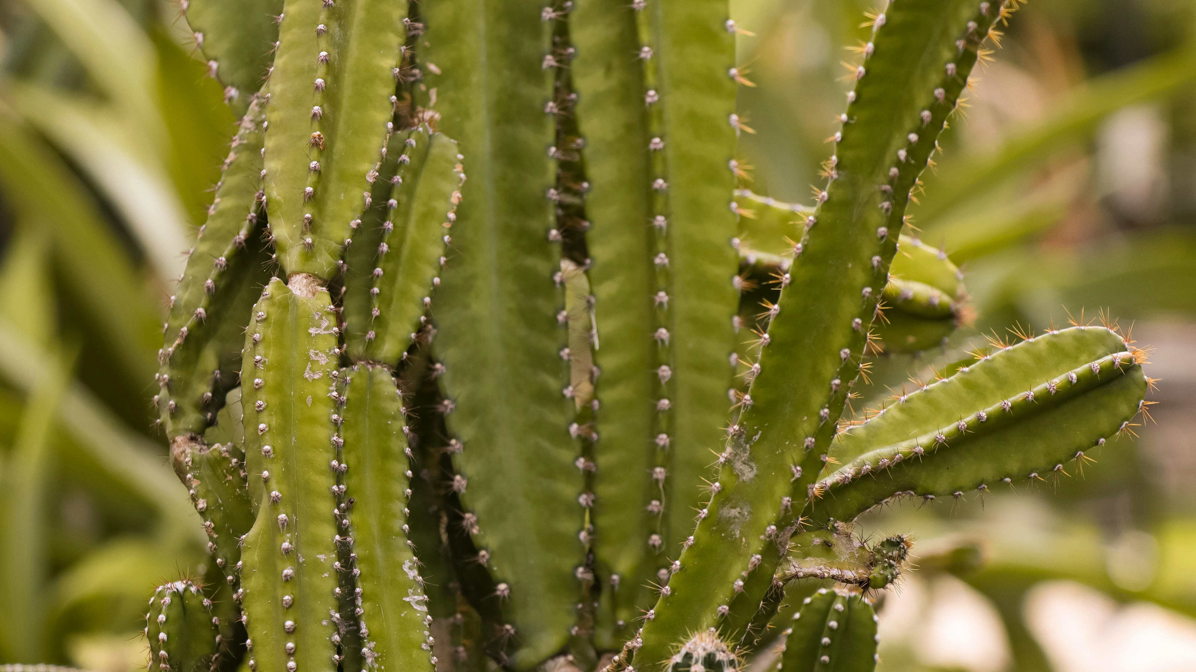 Photo by maybeimwealthy