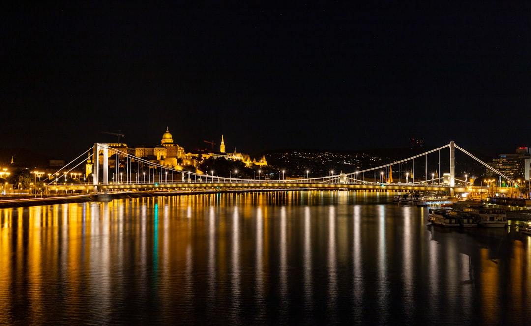 Bridge photo spot Budapest Shoes on the Danube Bank