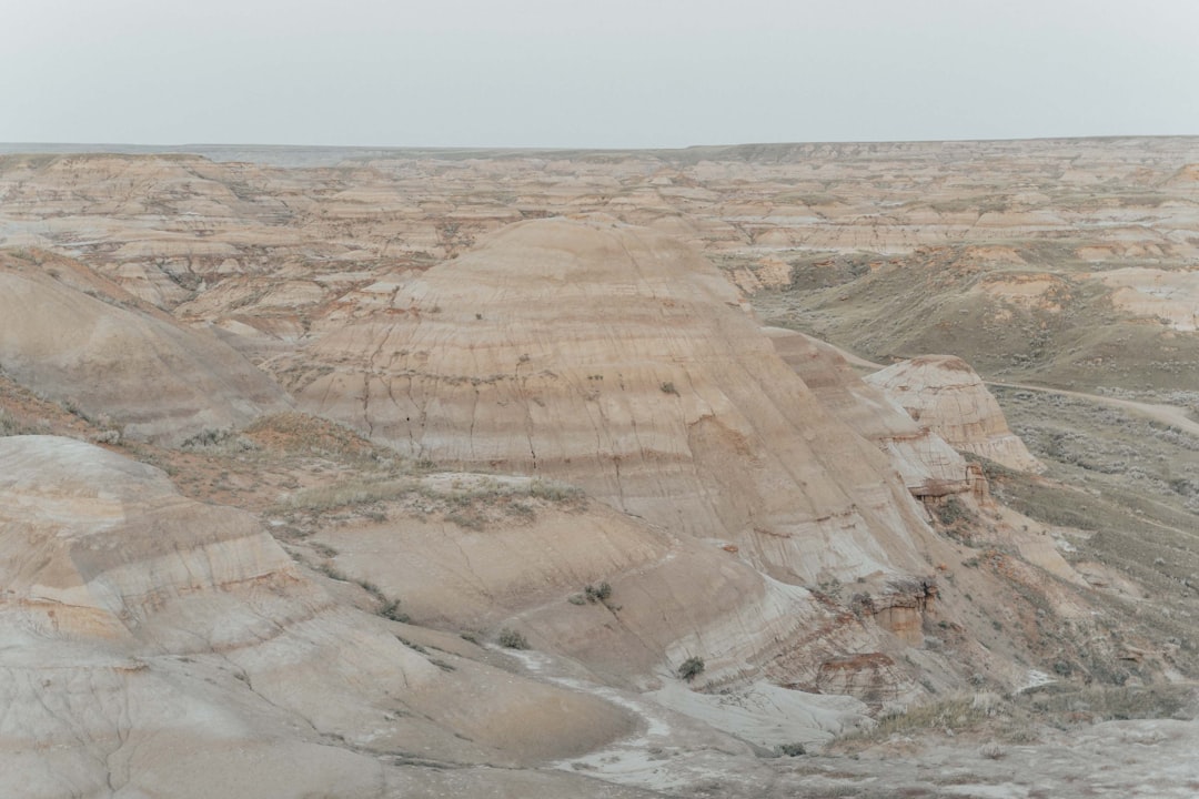 Travel Tips and Stories of Dinosaur Provincial Park in Canada