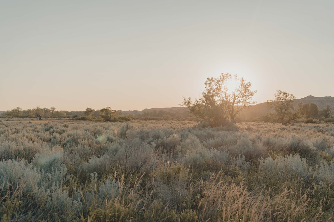 Ecoregion photo spot Dinosaur Provincial Park Alberta