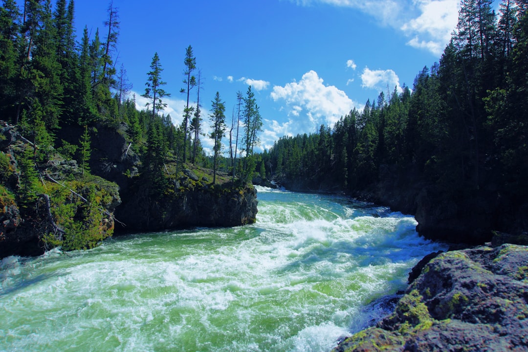 Mountain river photo spot Yellowstone National Park Grand Teton