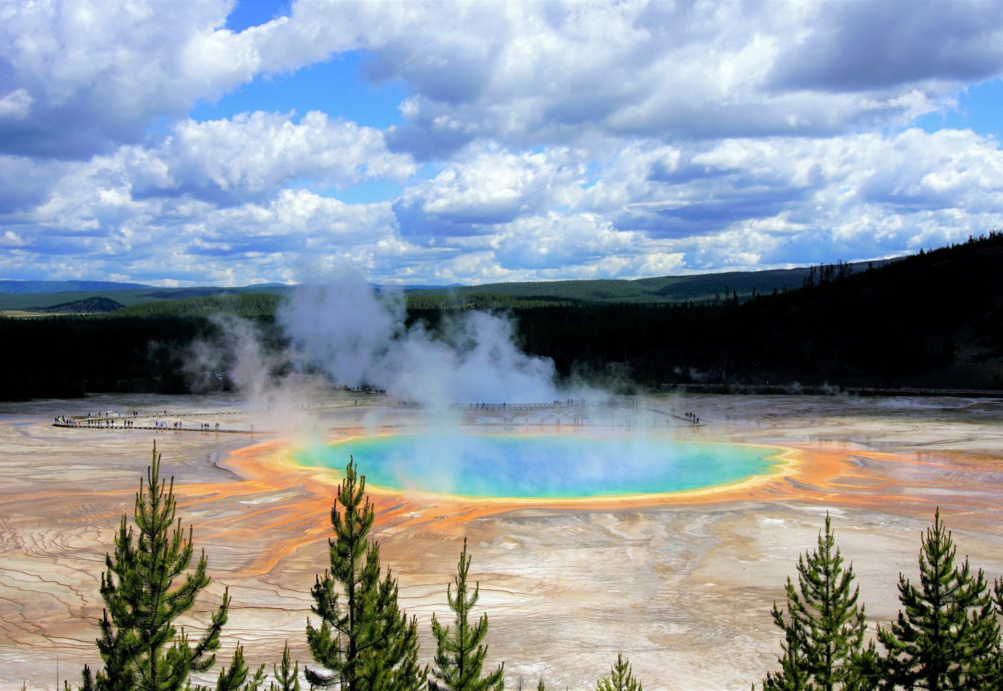 Exploring Yellowstone: Local Cuisine and Traditional Recipes