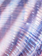 Close-up of a polished pearl white surface reflecting subtle electric violet highlights.