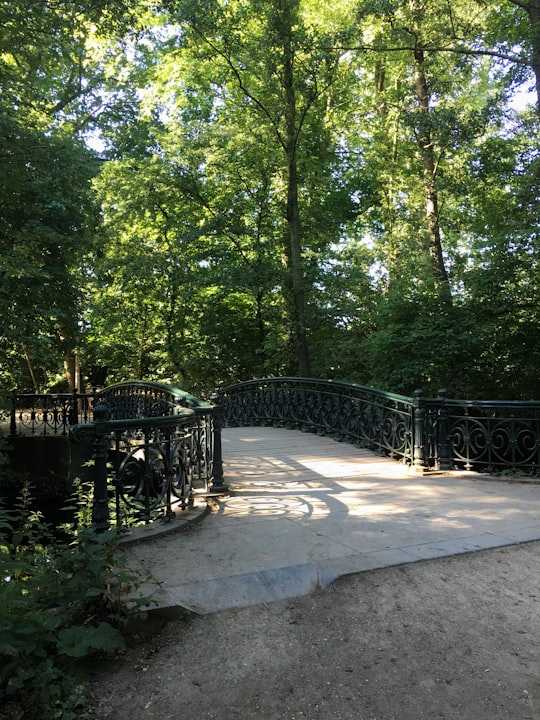 photo of Vondelpark Nature reserve near Amsterdam