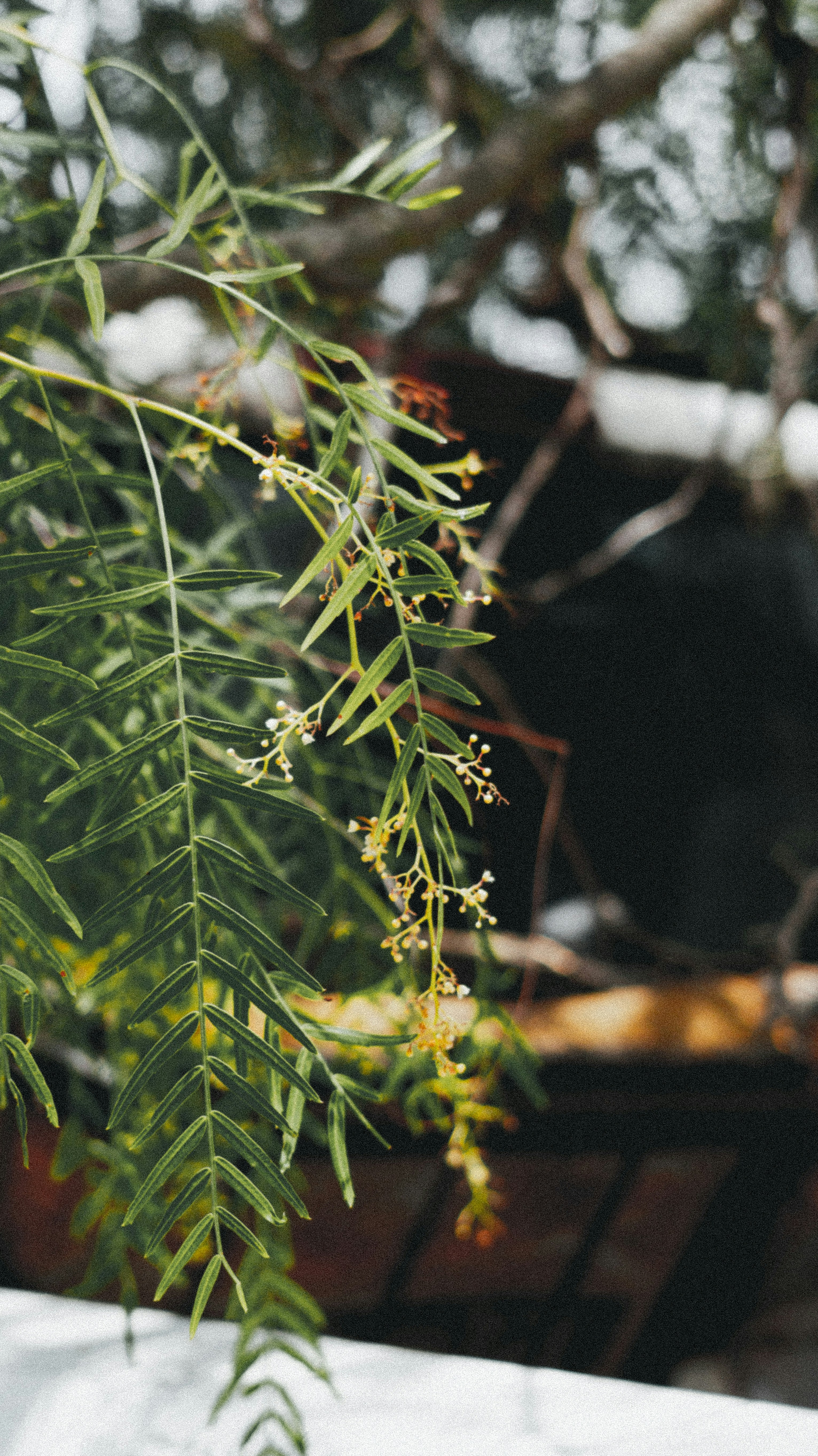 Photo by photostrophyc