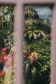 A lush indoor garden with various green plants and vibrant flowers, visible through glass panes. Some plants have broad leaves with intricate patterns, and there is a brick background partially covered by foliage. The scene captures an array of textures and colors, creating a serene and natural atmosphere.