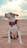 white and brown american pitbull terrier mix puppy sitting on brown sand during daytime