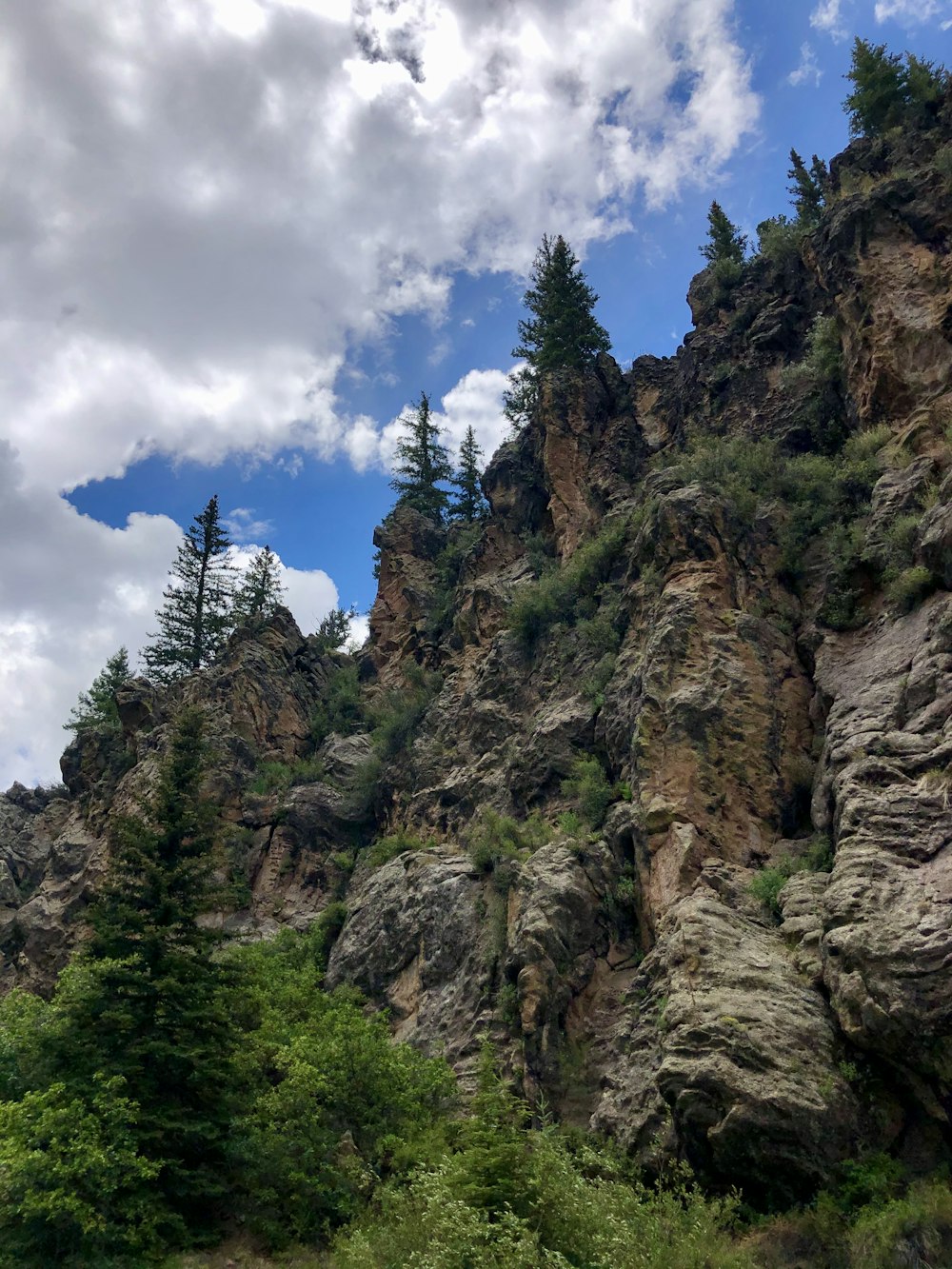 green trees on brown rocky mountain under blue and white cloudy sky during daytime