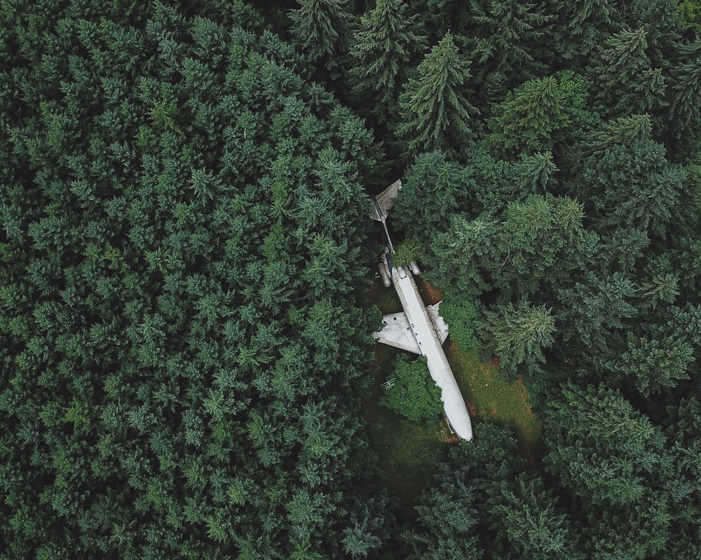 white and black plane flying over green trees during daytime