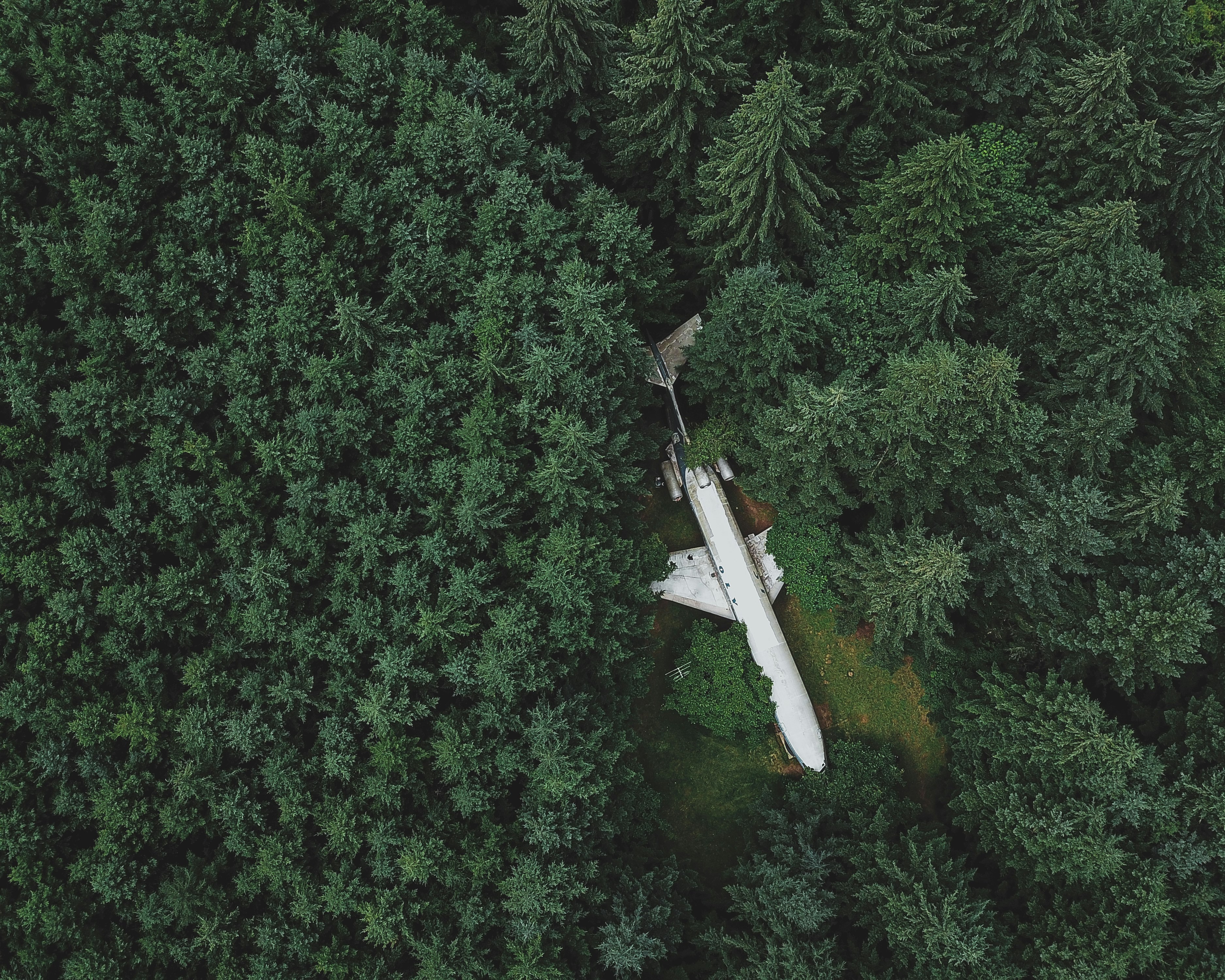 white and black plane flying over green trees during daytime