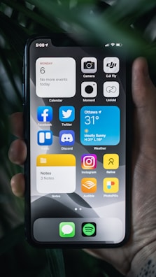 A hand holding a smartphone displaying its home screen filled with various app icons, including social media, photography, and utility apps. The background shows a few leaves, adding a natural element to the scene. The time is shown as 5:08, and the date is set to Monday the 6th. Widgets present include a weather forecast for Ottawa, currently showing a temperature of 31°C with mostly sunny conditions.