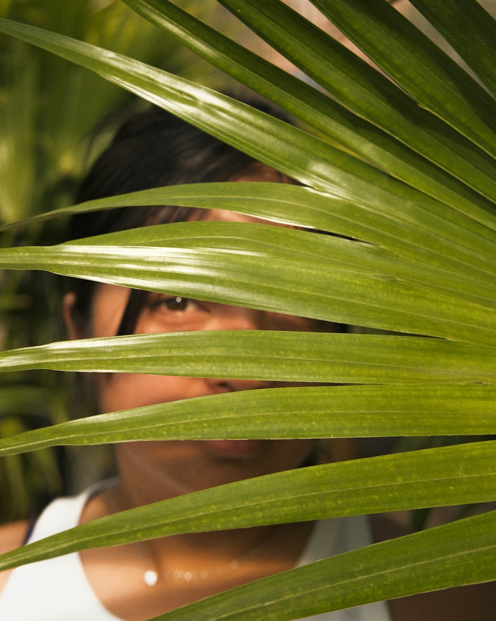 green leaf plant in close up photography