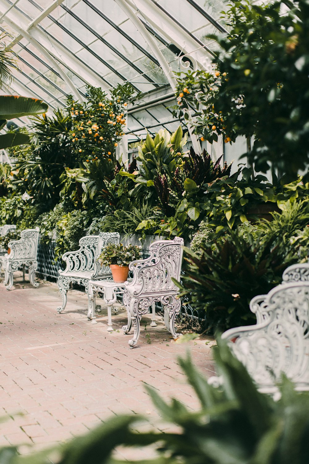 white metal bench near green leaf plants during daytime