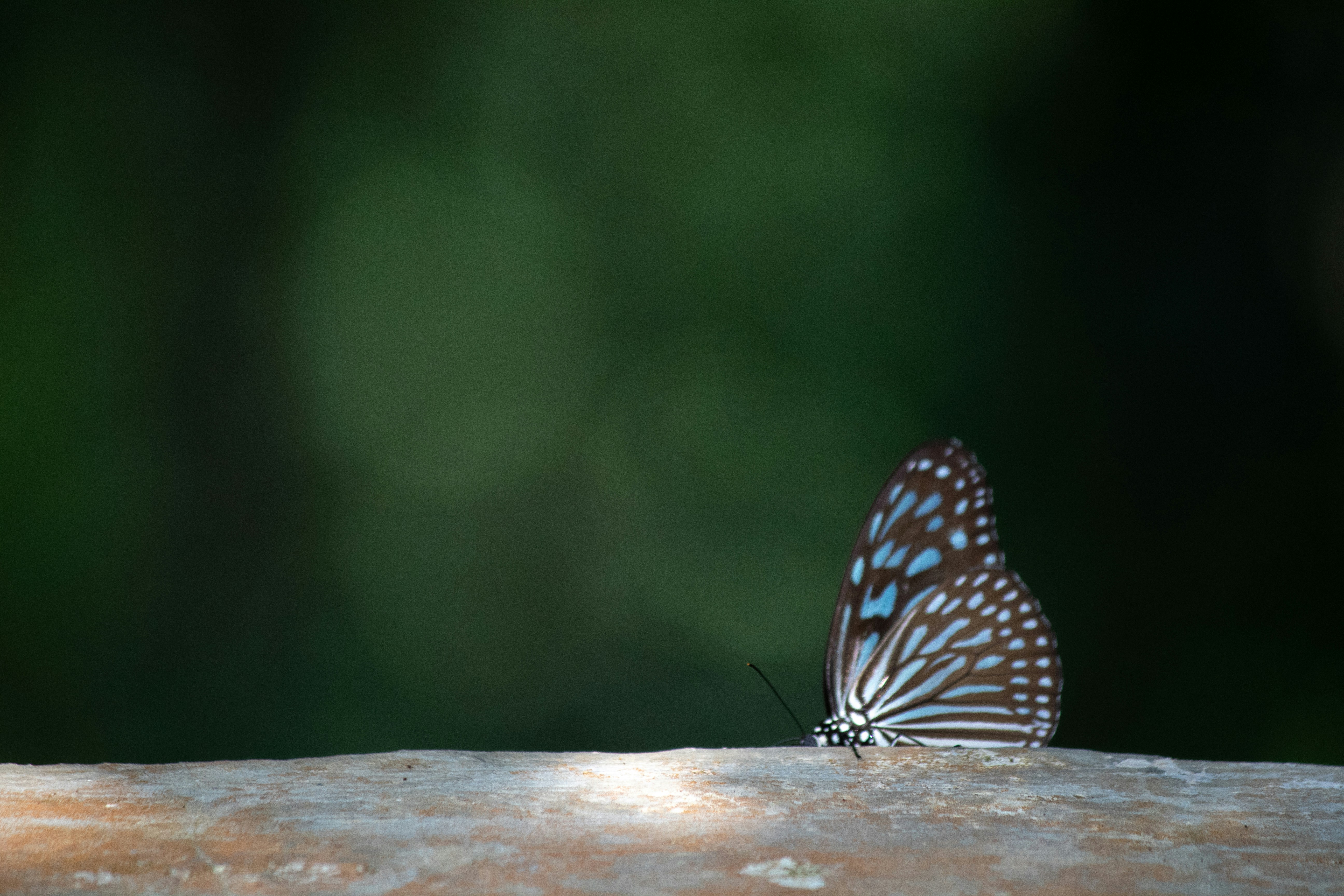 Banda Aceh, Indonesia - None