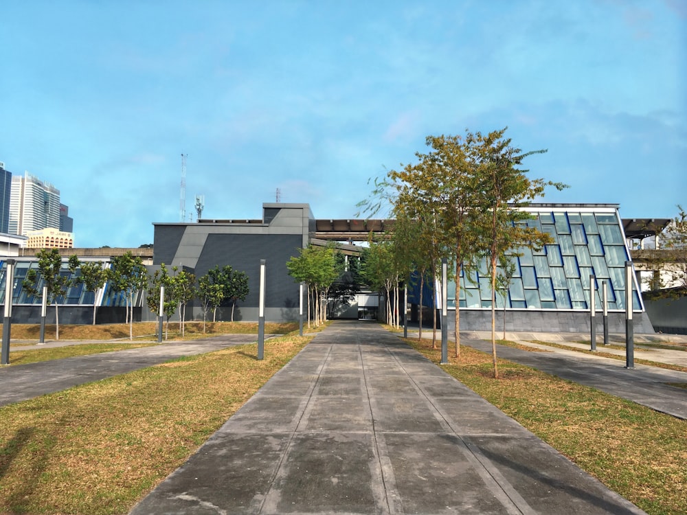 green trees near white building during daytime