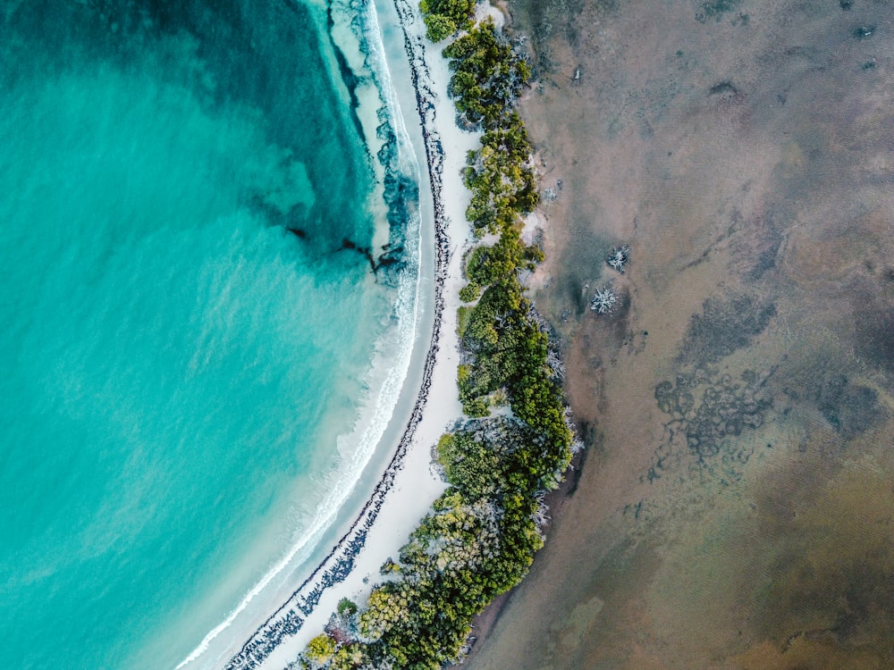 Vue aérienne de la plage pendant la journée