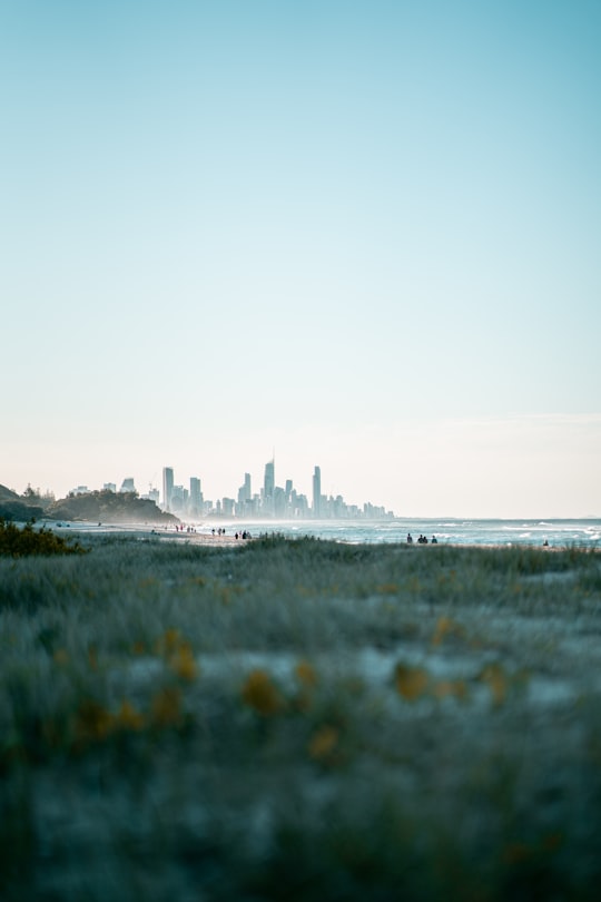 green grass field near body of water during daytime in Burleigh Heads QLD Australia