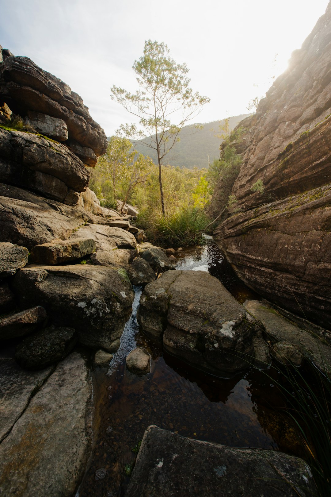 brown rock formation near river during daytime