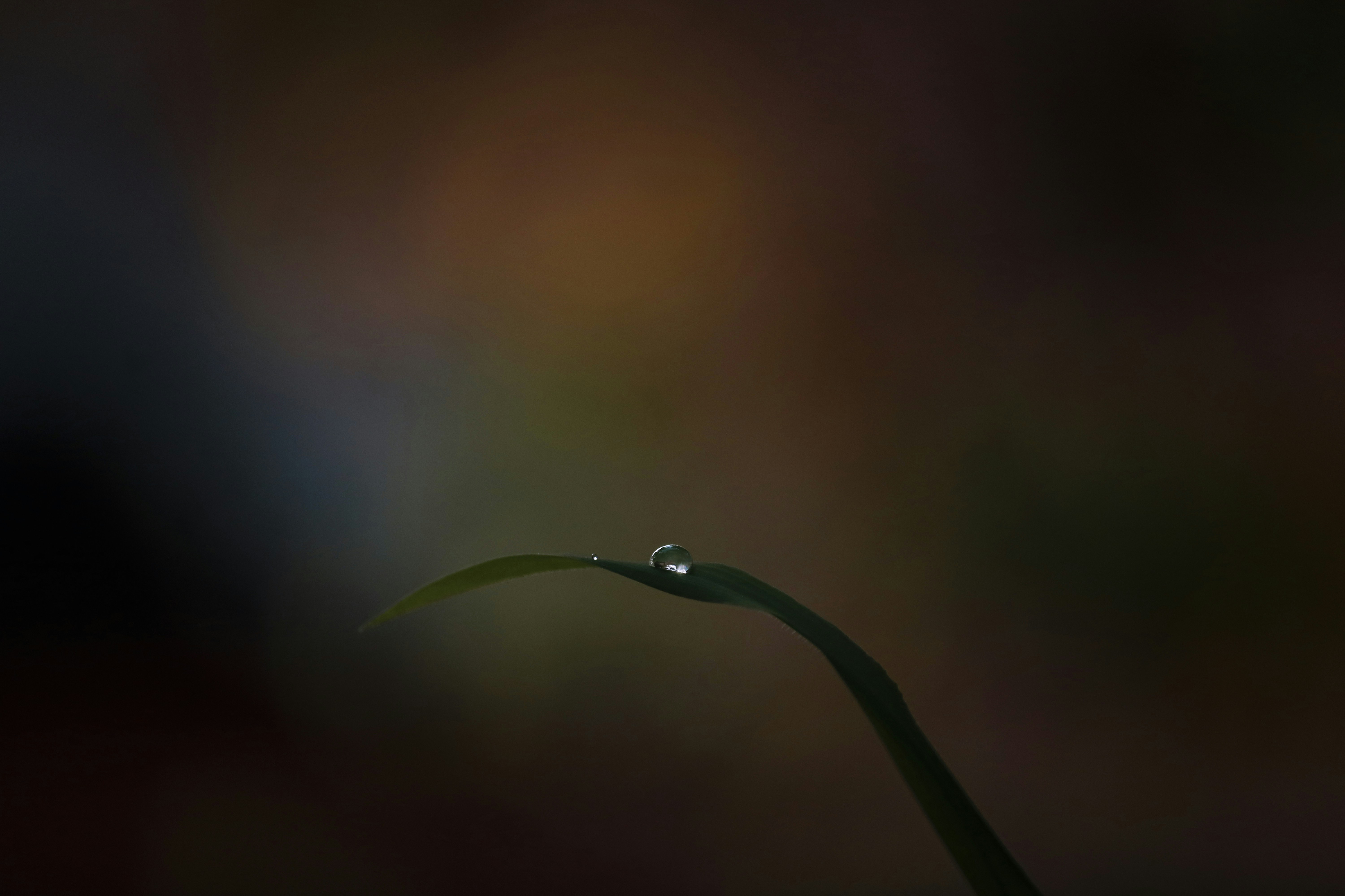 Photo by ganapathi___