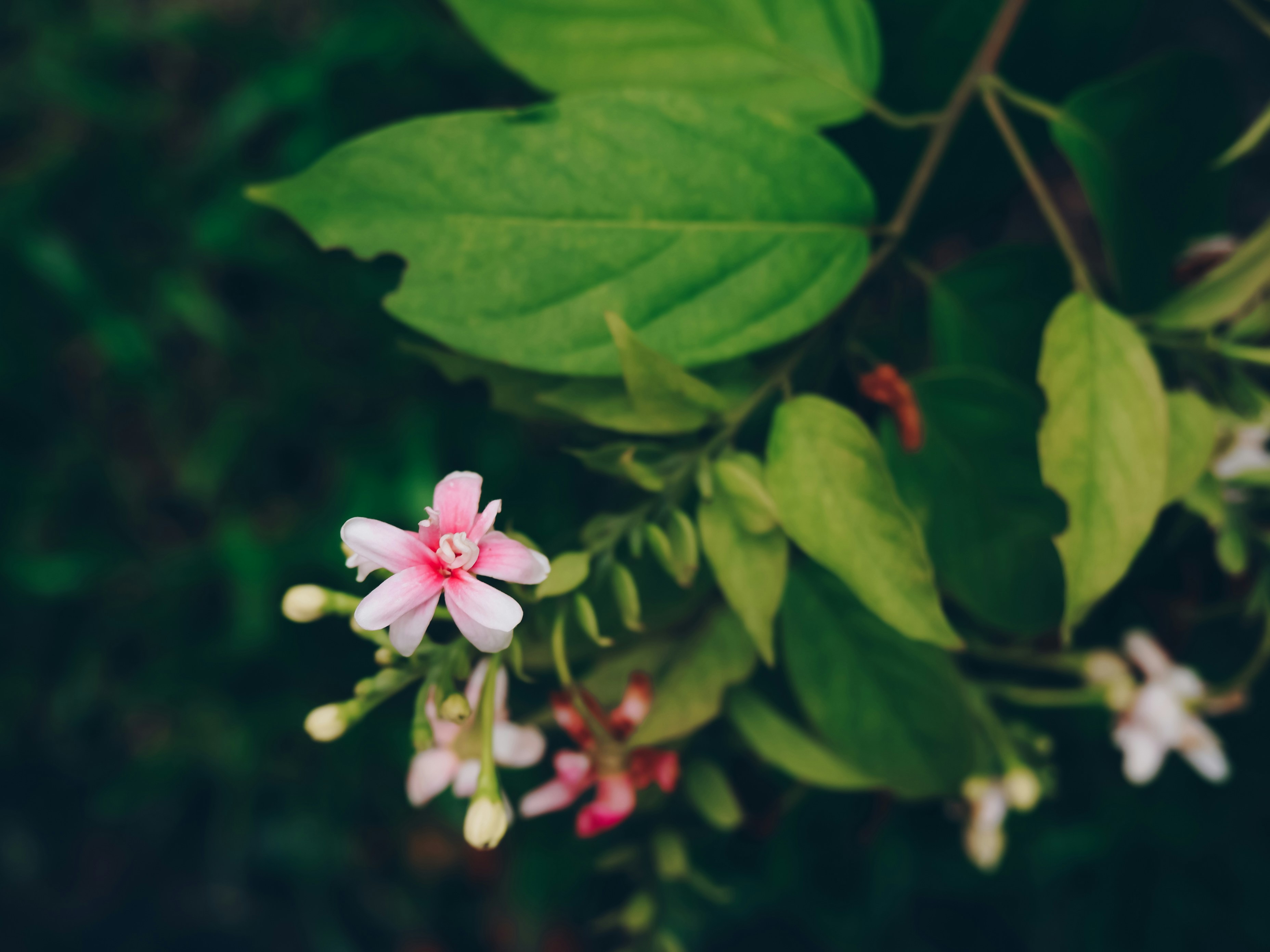 Photo by sophie_tran