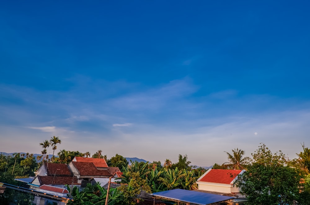 green trees and brown roof houses under blue sky during daytime