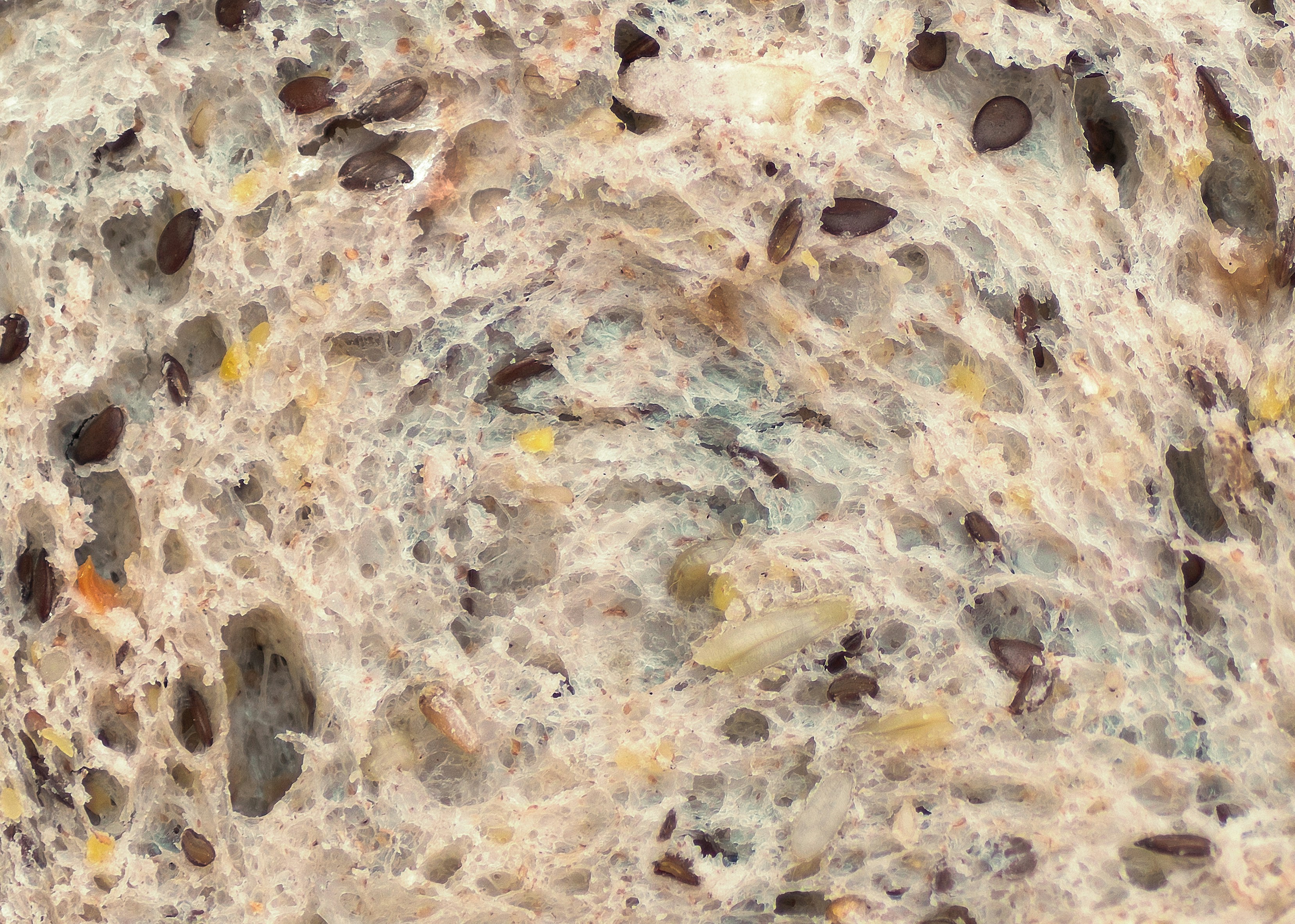 brown and white rock formation