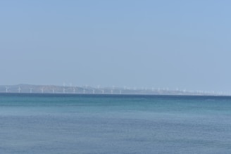 A vast expanse of ocean meets the horizon where numerous wind turbines are visible in the distance, set against a clear blue sky.