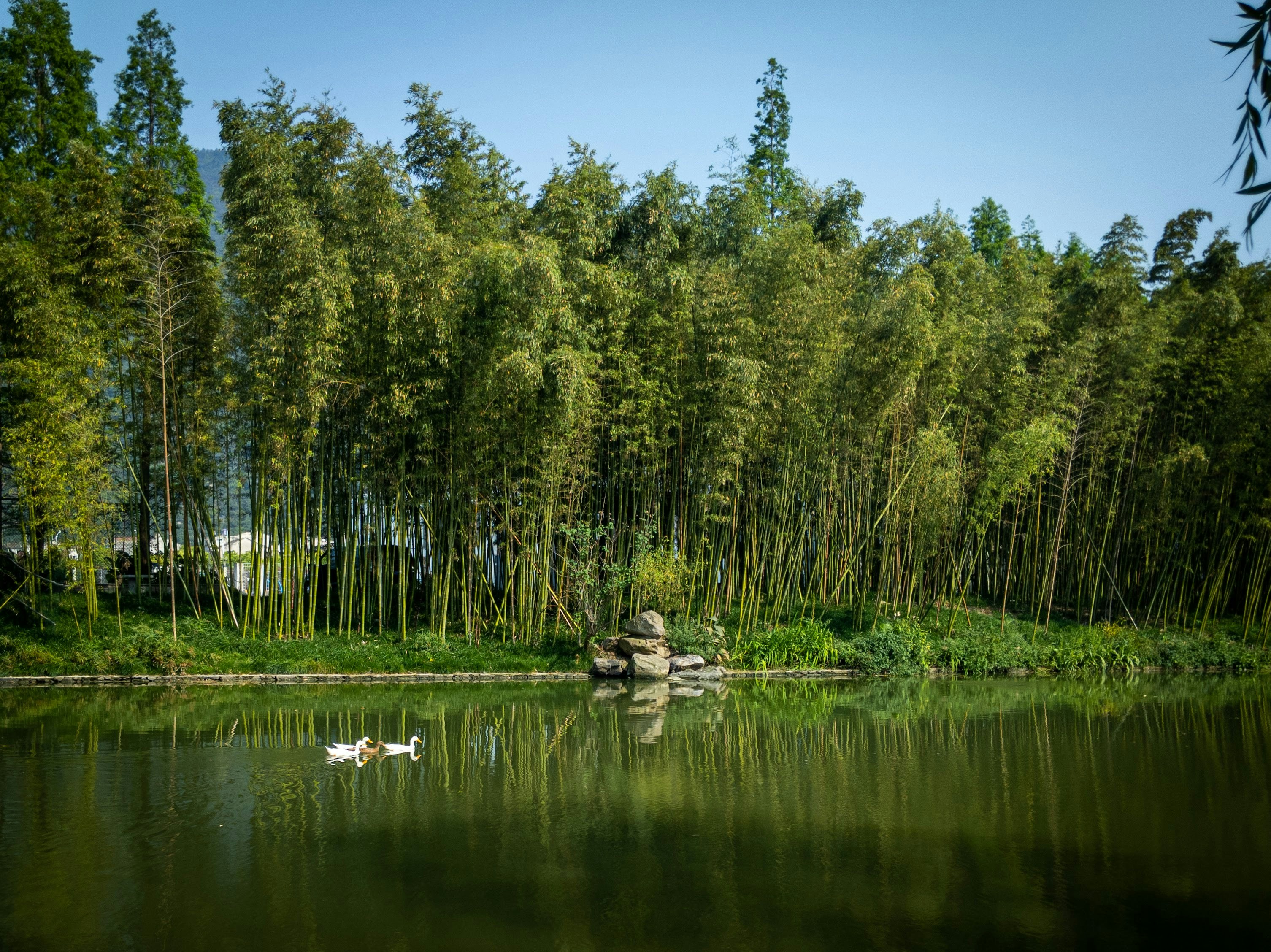 Photo by amachaab