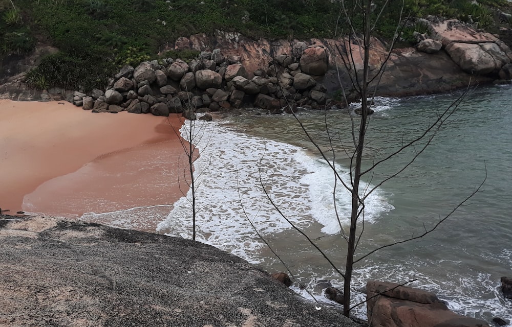 brown sand near body of water during daytime