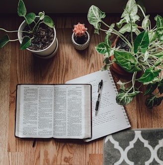 white book page beside green potted plant