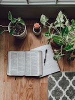 white book page beside green potted plant