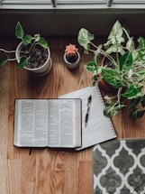 white book page beside green potted plant