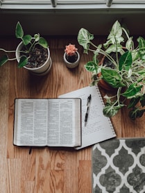 white book page beside green potted plant