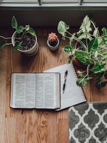 white book page beside green potted plant