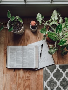 white book page beside green potted plant