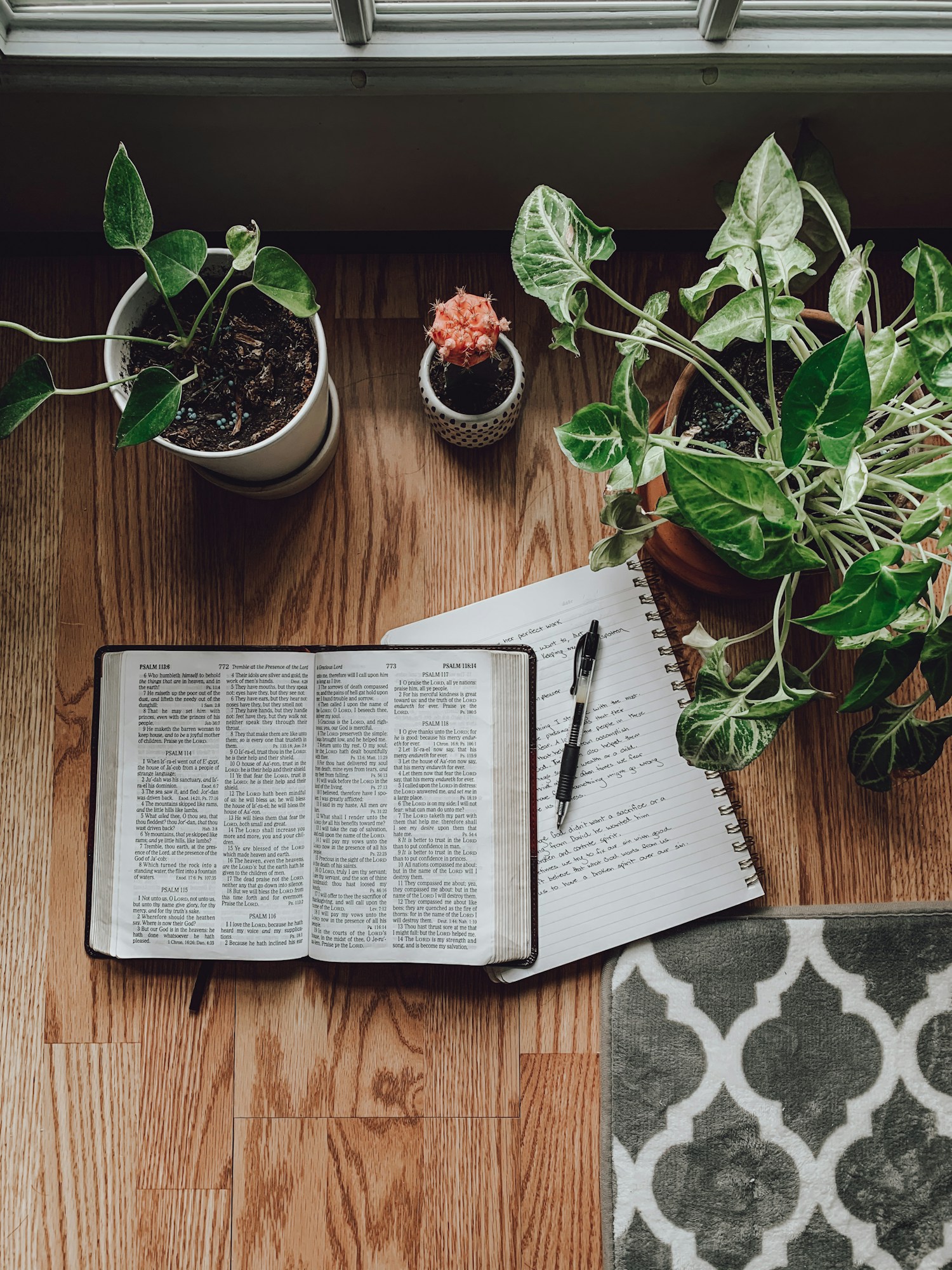 A hand gently holds an open Bible, showcasing its pages on a white fabric background.