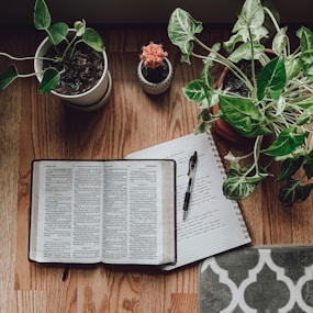 white book page beside green potted plant